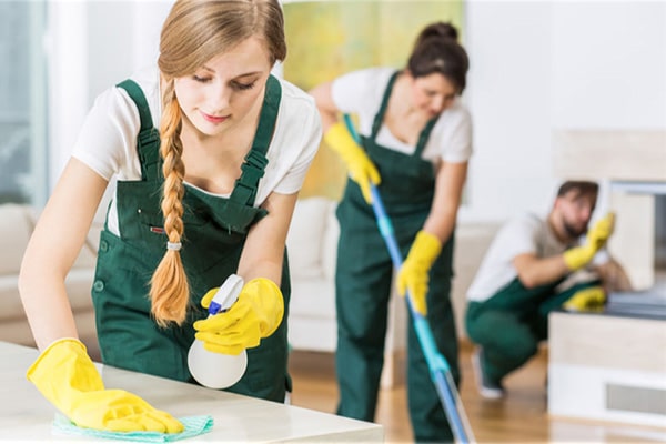 Window Cleaning